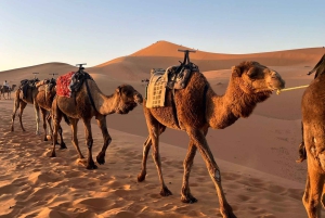 Marrakechista Fesiin: 3 päivän Merzougan aavikko, ylellinen yksityisteltta