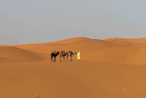 Marrakech to Fes via the Sahara Desert in 3 Days