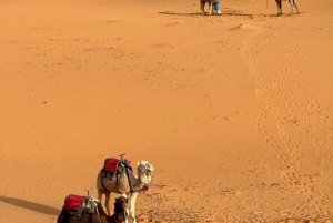 Marrakech to Fes via the Sahara Desert in 3 Days