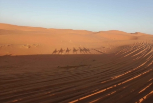 De Marrakech a Fez pasando por el desierto de Merzouga Excursión de 3 días por el Sáhara