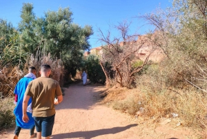 Tour di 3 giorni nel Sahara da Marrakech a Fez attraverso il deserto di Merzouga