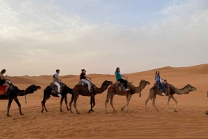 Marrakech: Merzouga Desert 3-Day, 2-Night Sahara Tour to Fez