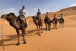 Marrakech: Merzouga Desert 3-Day, 2-Night Sahara Tour to Fez