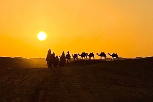 Marrakech: Merzouga Desert 3-Day, 2-Night Sahara Tour to Fez