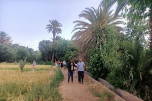 Marrakech til Fez via Merzouga-ørkenen 3-dagers Sahara-tur