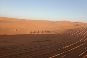 Marrakech til Fez via Merzouga-ørkenen 3-dagers Sahara-tur