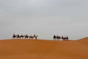 Marrakech til Fez via Merzouga-ørkenen 3-dagers Sahara-tur