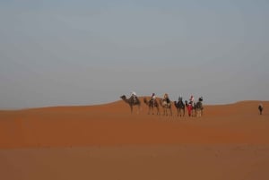 Marrakech til Fez via Merzouga-ørkenen 3-dagers Sahara-tur