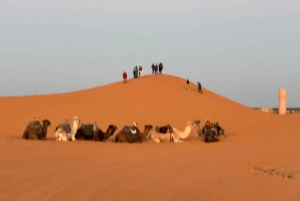Aventura de 3 días por el desierto, de Marrakech a Merzouga