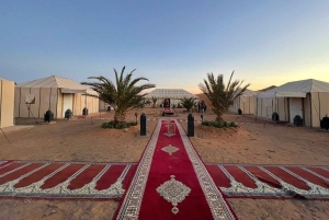 Marrakech til Merzouga: 3-dages ørken-eventyr