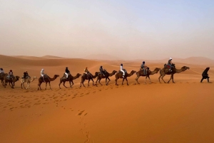 Marrakech til Merzouga: 3-dages ørken-eventyr