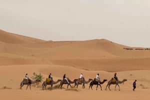 Marrakech naar Merzouga : 3-Daagse Droomtours & Luxe Kampen