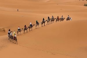 Marrakech naar Merzouga : 3-Daagse Droomtours & Luxe Kampen