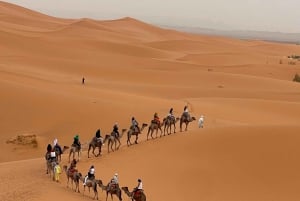 Marrakech naar Merzouga : 3-Daagse Droomtours & Luxe Kampen