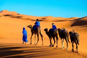 Marrakech naar Merzouga : 3-Daagse Droomtours & Luxe Kampen