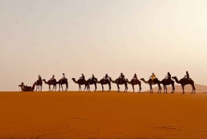 Marrakech naar Merzouga : 3-Daagse Droomtours & Luxe Kampen