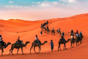 Marrakech naar Merzouga : 3-Daagse Droomtours & Luxe Kampen