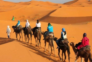 Marrakech to Merzouga: 3-Day Private Tour with Camel Riding