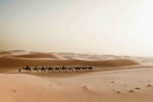 Marrakechista Merzougaan: 4 päivän luksusretki Saharan autiomaassa