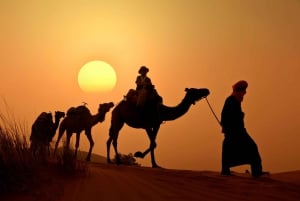 Marrakech to Merzouga Desert: A Private 2-Day Tour