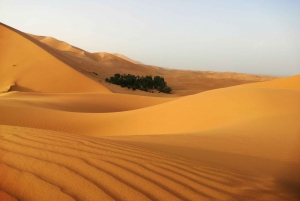 Marrakech to Merzouga Desert: A Private 2-Day Tour