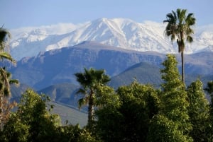 Marrakech to Ourika Valley Day Tour and Anima Garden Visit