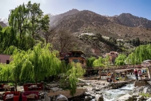 Dagstur fra Marrakech til Ourika-dalen og besøg i Anima-haven