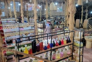 Marrakech: Valle dell'Ourika, Montagne dell'Atlante, Cascate e guida