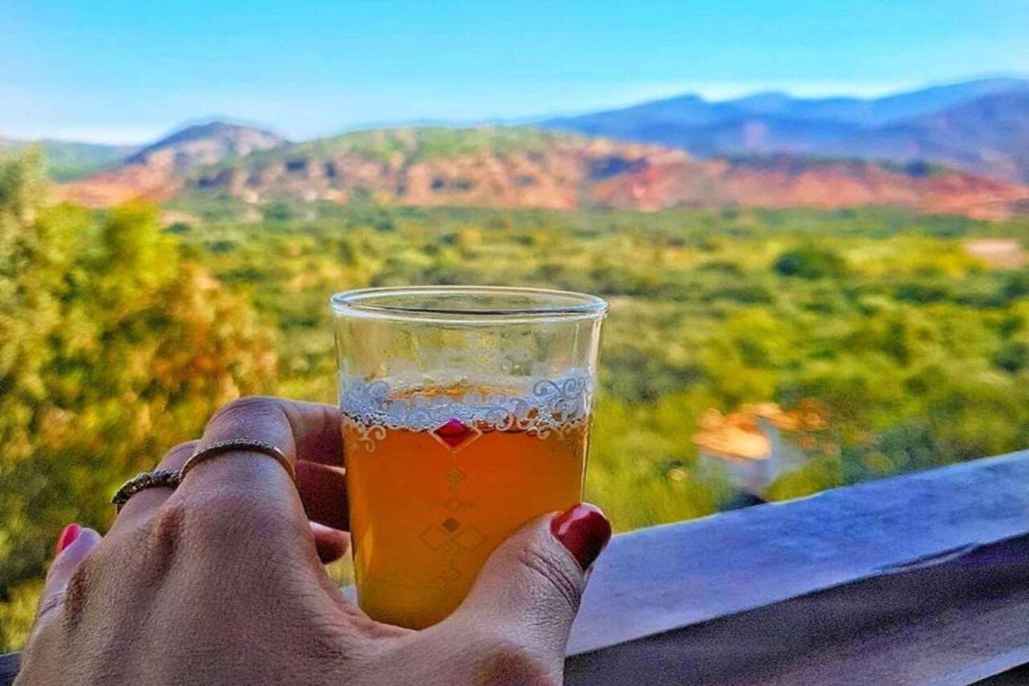 Marrakech à la vallée de l'Ourika - Excursion d'une journée avec déjeuner et cascade