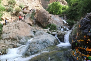 From Marrakesh: Ourika Valley & Atlas Mountains Private Tour