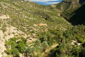 From Marrakesh: Ourika Valley & Atlas Mountains Private Tour