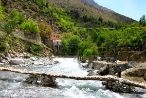 From Marrakesh: Ourika Valley & Atlas Mountains Private Tour