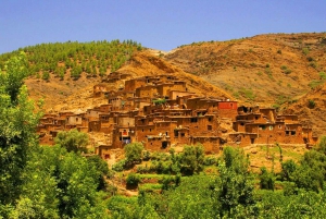 From Marrakesh: Ourika Valley & Atlas Mountains Private Tour