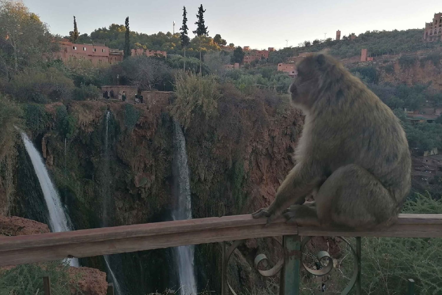 Marrakech till Ouzoud vattenfall dagstur - Guide & båttur