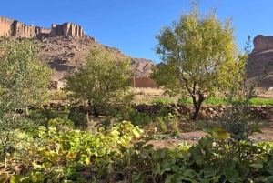 Caminhada de 5 dias de Marraquexe à Cordilheira Vulcânica de Saghro