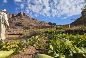 Caminhada de 5 dias de Marraquexe à Cordilheira Vulcânica de Saghro