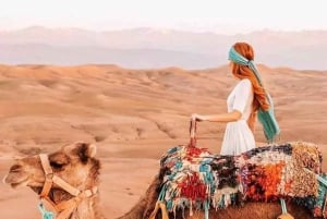 Marrakech: Top Agafay Desert Sunset Dinner & Show