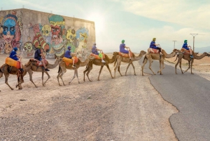 Marrakech: Top Agafay Desert Sunset Dinner & Show