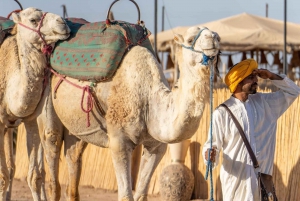 Marrakech: Top Agafay Desert Sunset Dinner & Show