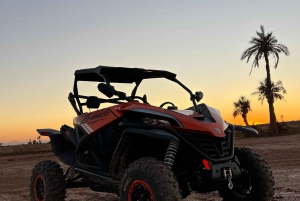 Marrakech: Palm Grove Zonsondergang Buggy Tour
