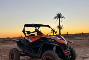 Marrakech: Palm Grove Zonsondergang Buggy Tour