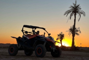 Marrakech: Palm Grove Zonsondergang Buggy Tour