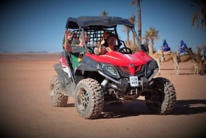 Marrakech: Palm Grove and Desert Buggy Adventure