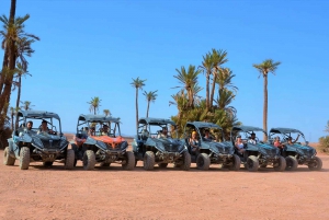 Marrakech: Palm Grove and Desert Buggy Adventure