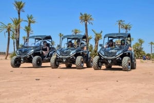 Marrakech: Palm Grove and Desert Buggy Adventure