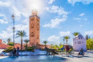 Marrakech: Tour pelos Jardins Majorelle e Menara