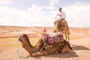 From:Marrakech Agafay Desert camel riding dinner with sunset