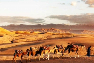 De:Marrakech Agafay Désert balade à dos de chameau dîner avec coucher de soleil