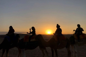 Van:Marrakech Agafay woestijn kamelenrit diner met zonsondergang