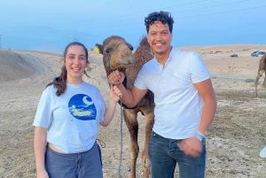 Da:Marrakech Giro in cammello nel deserto di Agafay con cena al tramonto